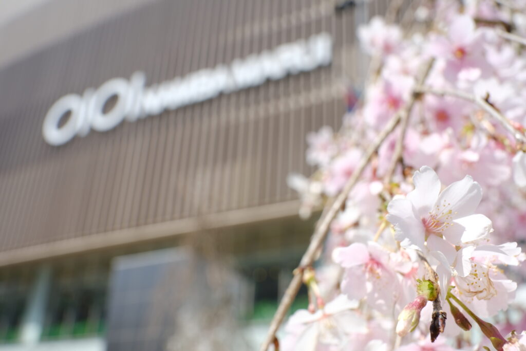 なんば広場「なんばSAKURA MUSIC FES」マルイ側の写真